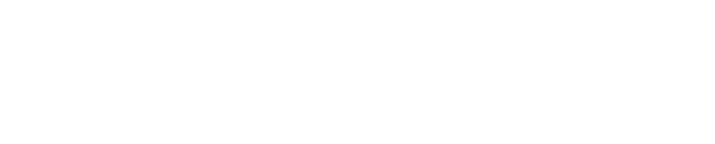 Ferretti Group